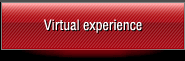 Virtual experience